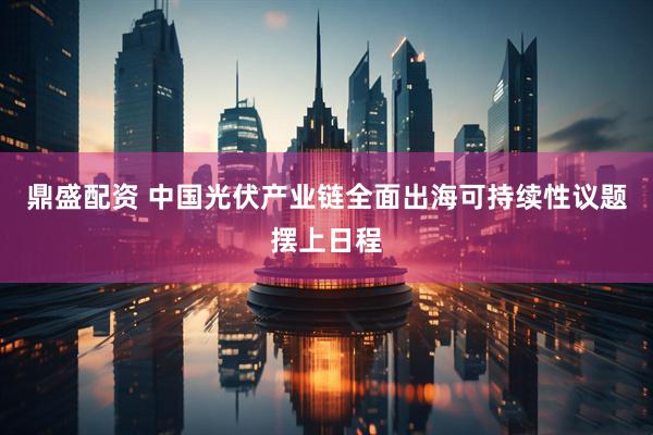 鼎盛配资 中国光伏产业链全面出海可持续性议题摆上日程