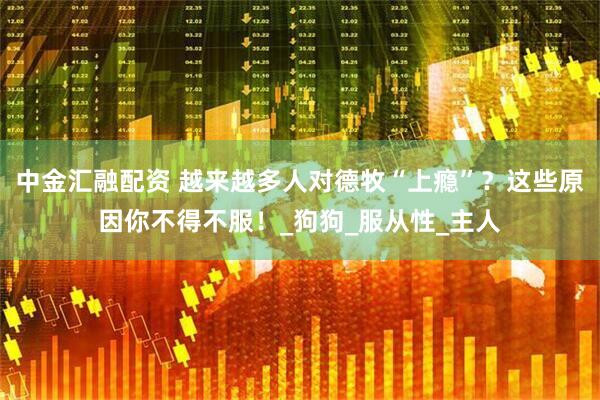 中金汇融配资 越来越多人对德牧“上瘾”？这些原因你不得不服！_狗狗_服从性_主人